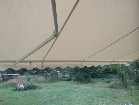 67616363_440635889870111_569713483235459072_o